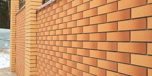 Кирпич Голицынский, соната, риф (5).jpg