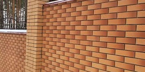 Кирпич Голицынский, соната, риф (3).jpg