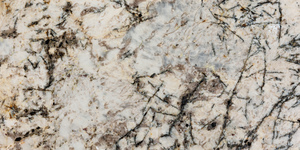 Blue Flower _43A3244.jpg