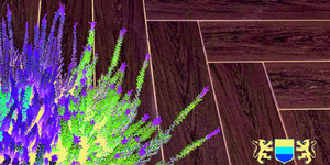 Террасная доска из ДПК Bamberg, Square, English Barnwood31