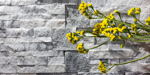 Мрамор Cloudy Grey Modern