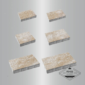 Тротуарная плитка "АНТАРА" - Б.1.АН.6 Искусственный камень Степняк