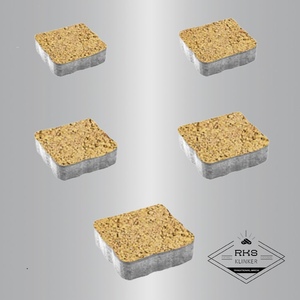 Тротуарная плитка АНТИК - Б.3.А.6, Листопад гранит, Каир