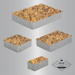 Тротуарная плитка ВЫБОР, МЮНХЕН - Б.2.ФСМ.6, Листопад гладкий, Саванна