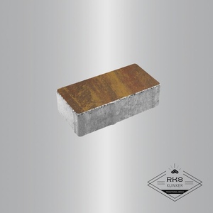 Тротуарная плитка ПРЯМОУГОЛЬНИК - А.2.П.4, Листопад гладкий, Осень