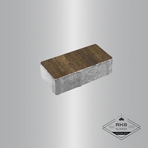 Тротуарная плитка ПРЯМОУГОЛЬНИК - А.2.П.4, Листопад гладкий, Мокко