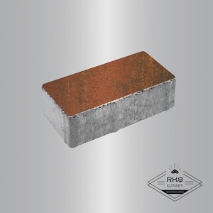 Плитка ПРЯМОУГОЛЬНИК - Б.2.П.6, Листопад гладкий, Арабская ночь