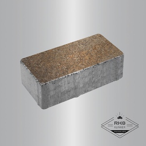 Тротуарная плитка ПРЯМОУГОЛЬНИК - Б.5.П.8, Листопад гранит, Клён