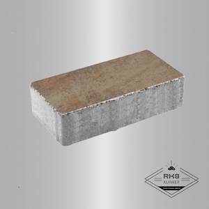 Тротуарная плитка ПРЯМОУГОЛЬНИК - В.2.П.10, Листопад гладкий, Клён