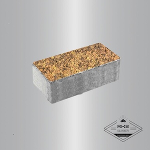 Тротуарная плитка ПРЯМОУГОЛЬНИК - В.2.П.10, Листопад гранит, Саванна