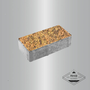 Тротуарная плитка ПРЯМОУГОЛЬНИК - А.2.П.4 Листопад гранит Саванна