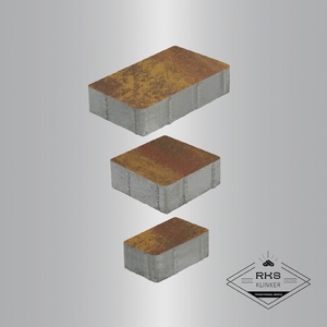 Тротуарная плитка СТАРЫЙ ГОРОД - Б.1.Фсм.8, Листопад гладкий, Осень