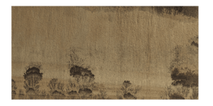 Песчаник RKS SLATE Sandstone Fossil Natural (5)