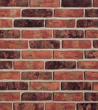 Кирпич облицовочный Formback graphit-bunt, 240х115х71 мм в Орле