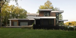 Фасадная доска ДПК Turtle Shell Australian Palisander Co-Extrusion современный фасад из террасной доски