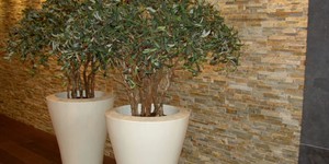 Акцентная стена в гостиной из камня 3D панели RKS SLATE Сланец Beige Slate Classic купить натуральный камень в РКС Клинкер (2)